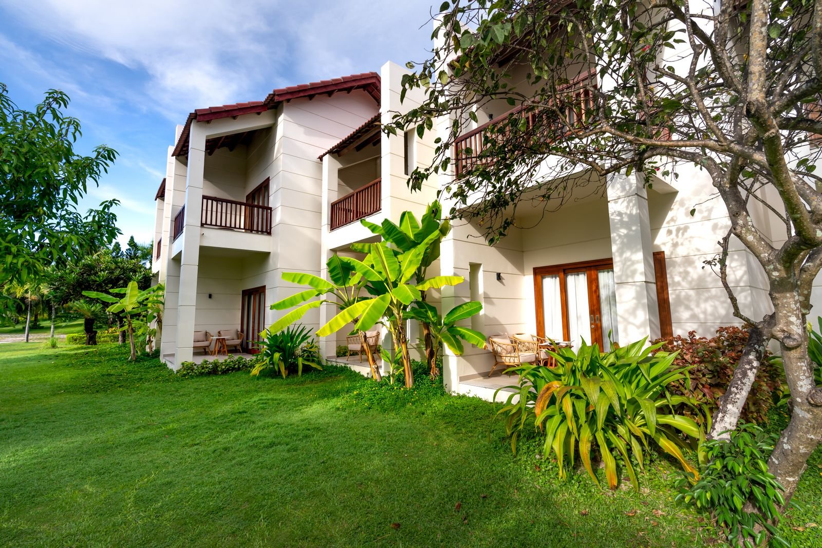 Jardin tropical devant la maison