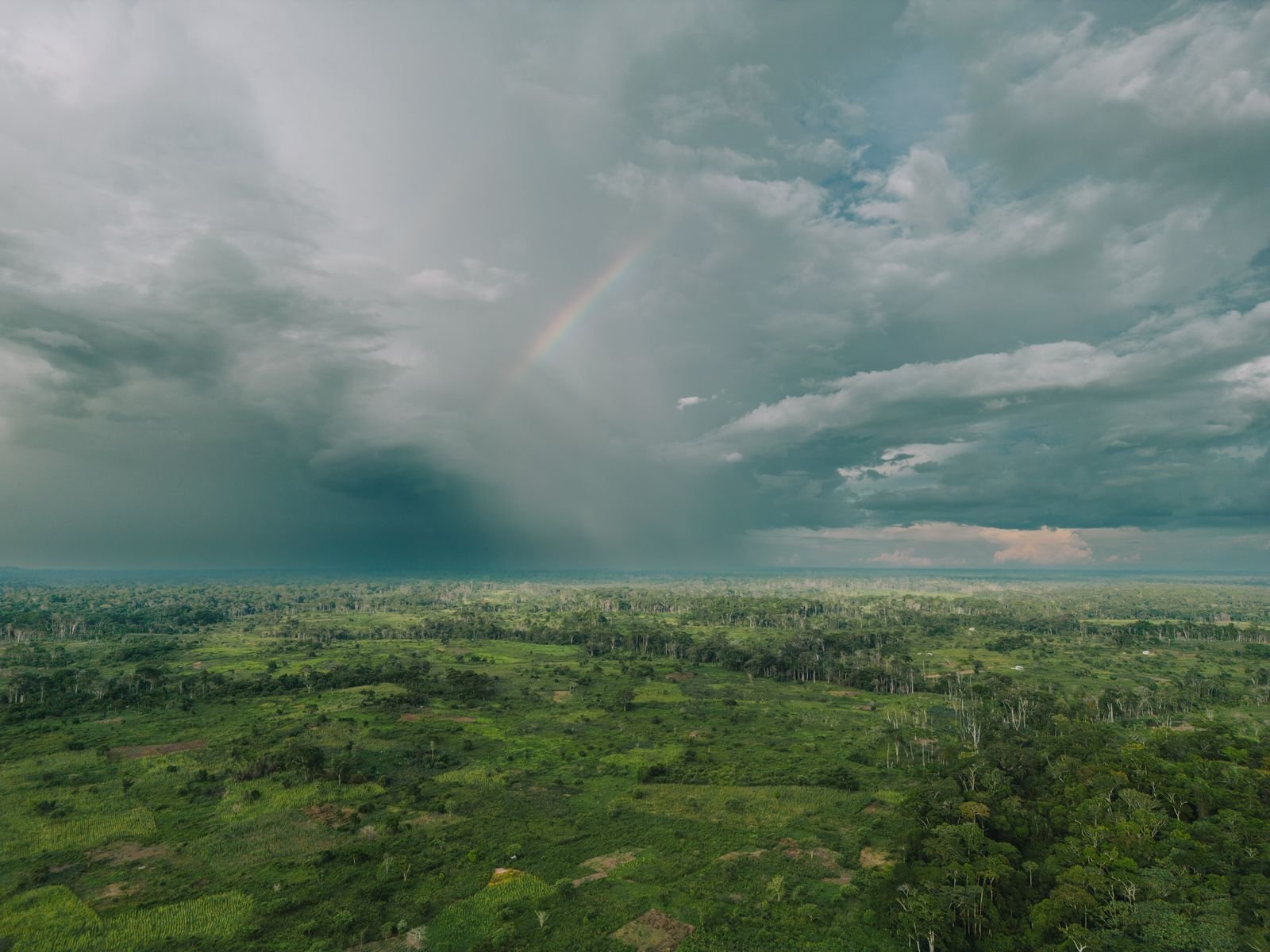 Arc-en-ciel au-dessus de la forêt tropicale camerounaise