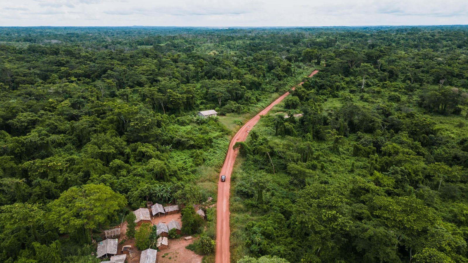 Piste de terre à travers la forêt tropicale